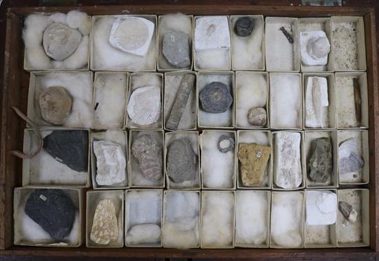 A J. Tennant mineralogist box, 19th century, of specimens of minerals and fossils